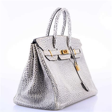 hermes dalmatian birkin